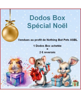 Dodos box Spécial Noël